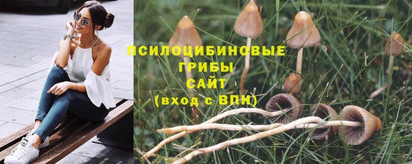 эйфоретик Алзамай
