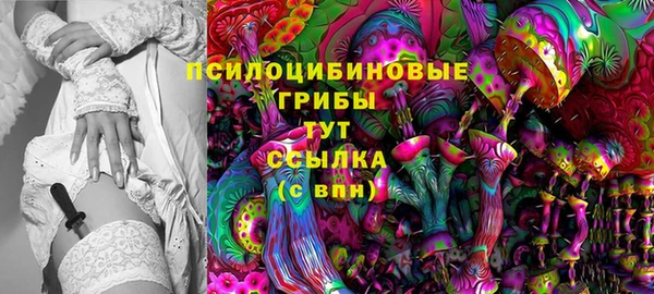 эйфоретик Алзамай