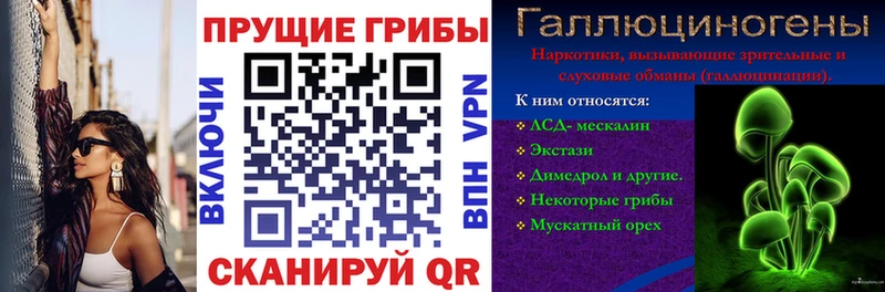 Псилоцибиновые грибы GOLDEN TEACHER  маркетплейс телеграм  Бодайбо 